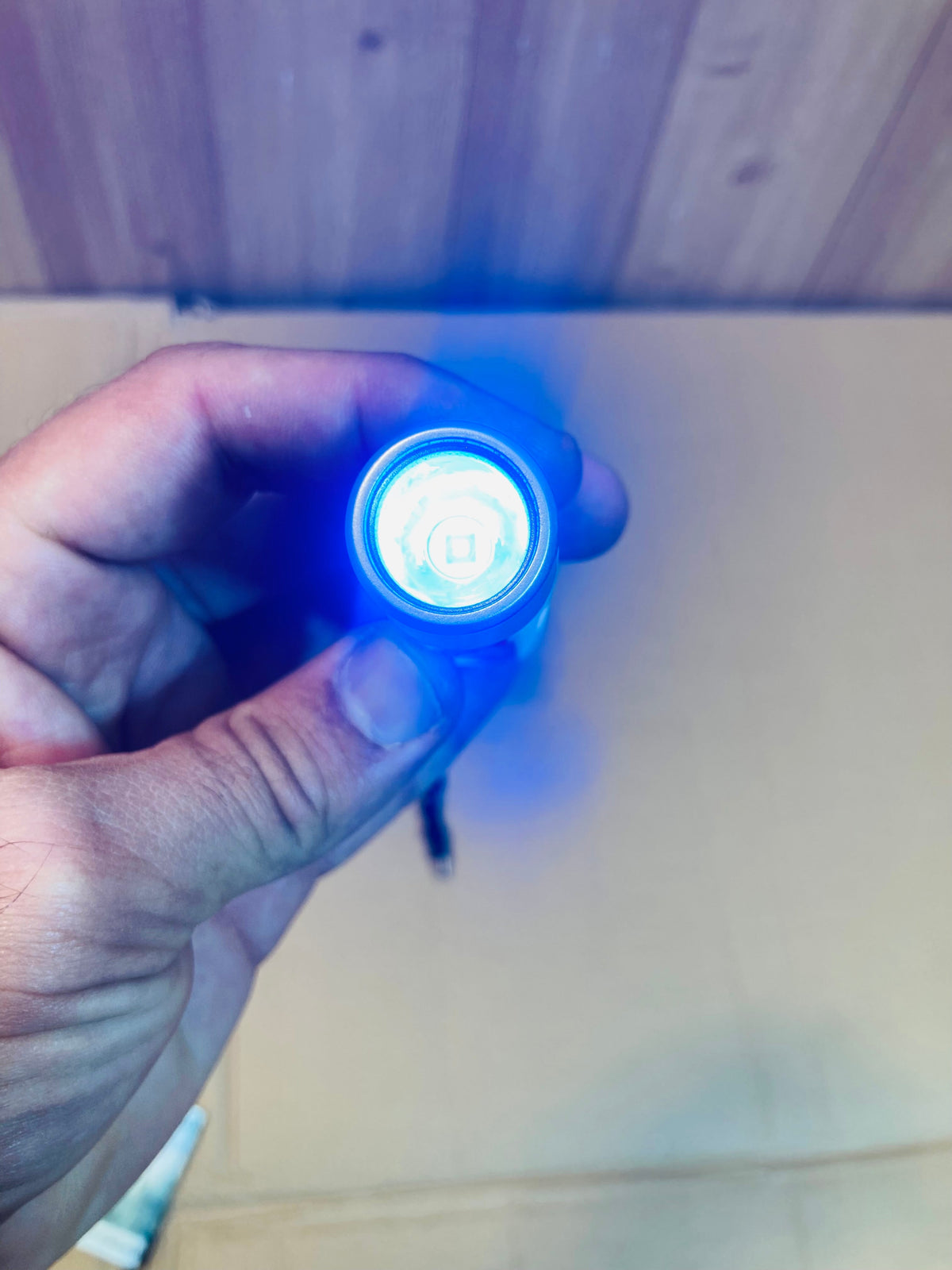 Rechargeable Banknote Counterfeit Checking Torch